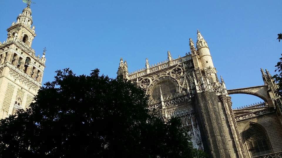 KakaoTalk_20150621_012750555 오렌지 나무와 세비야 성당.jpg