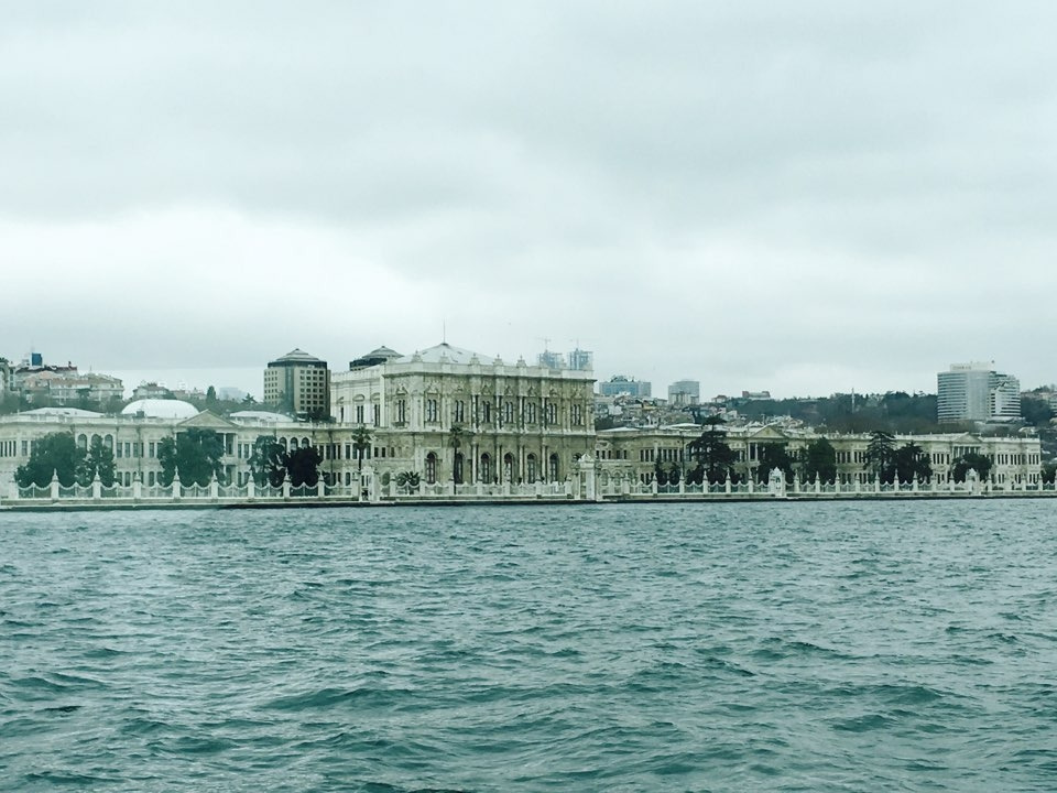 바다의 돌마.jpg