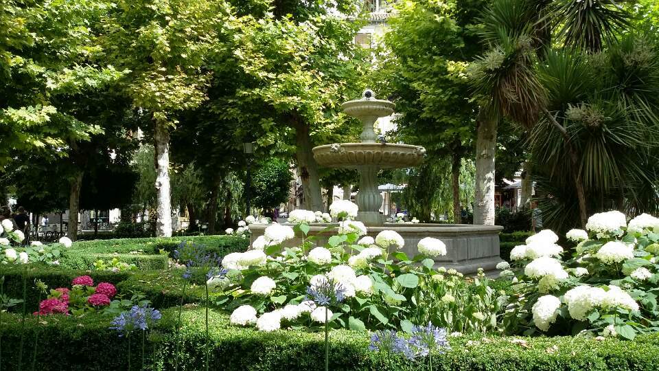 그라나다의 수국.jpg