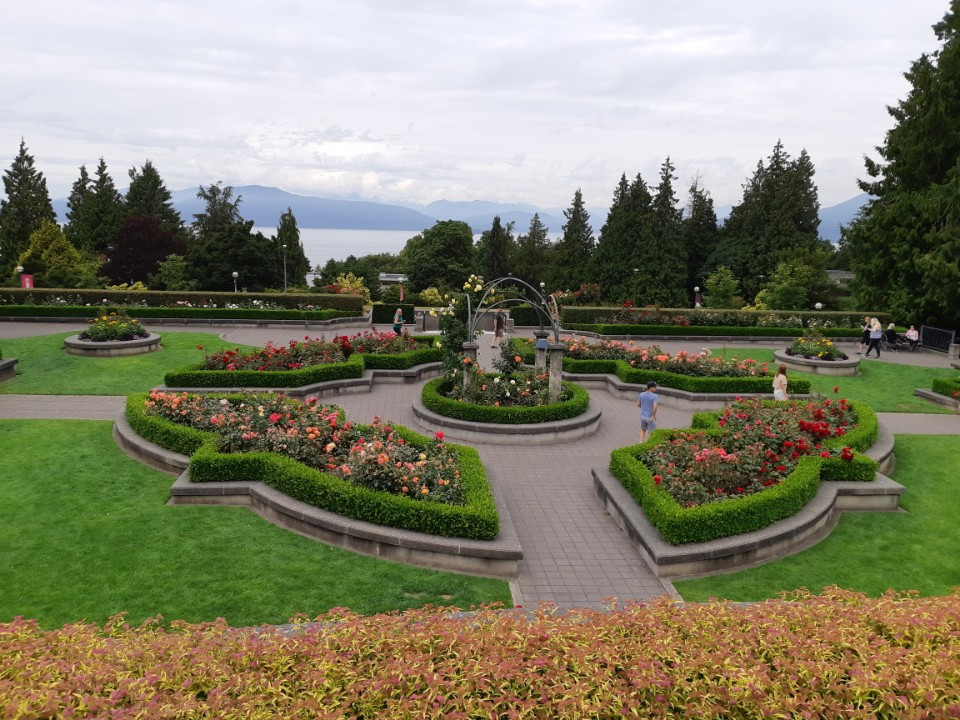 태평양이 보이는 KakaoTalk_20180714_104354020.jpg