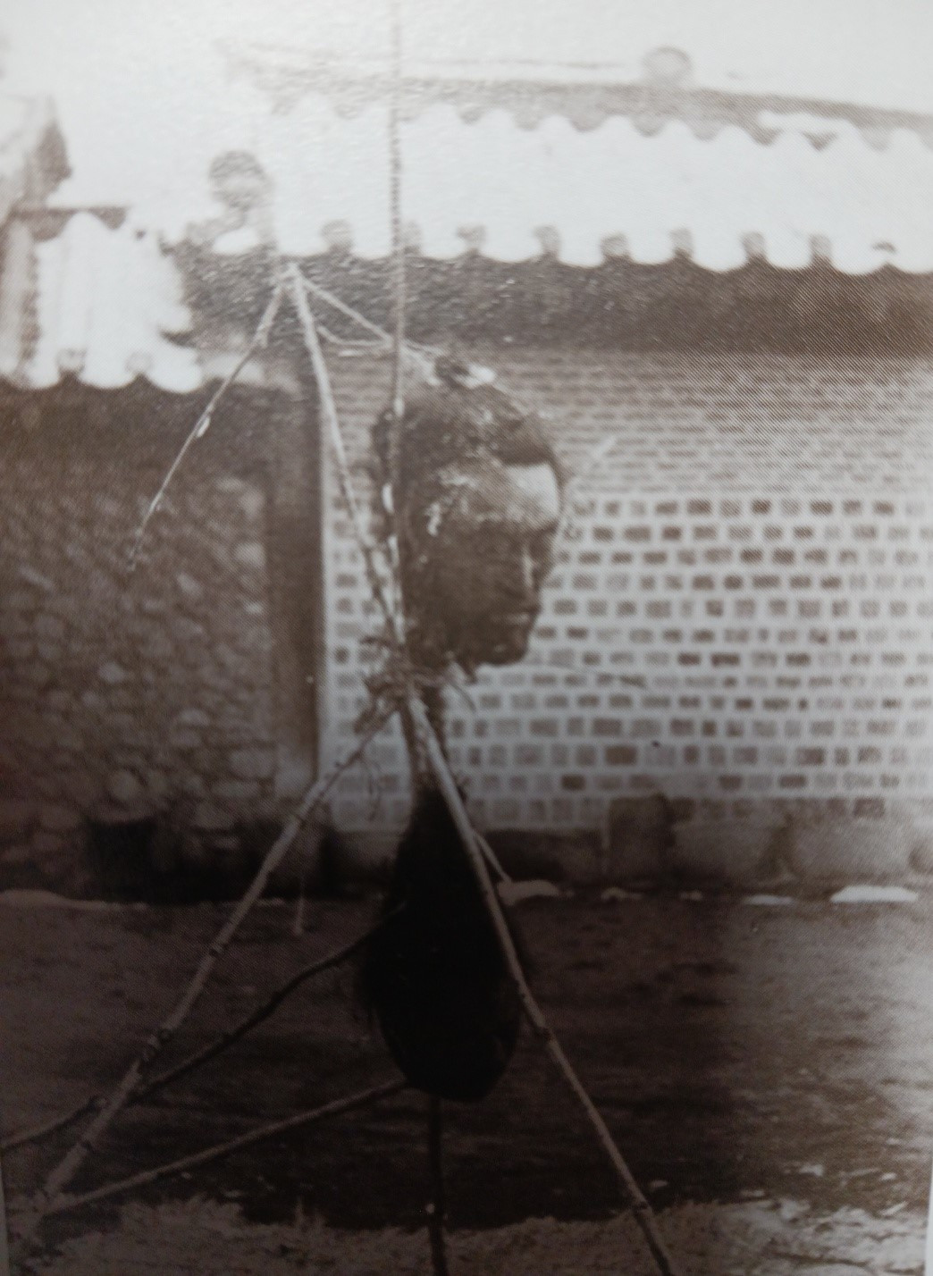 동학군 참수(그리피스 컬렉션).jpg