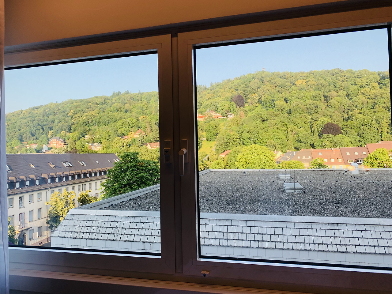 호텔서 본 산림.jpg