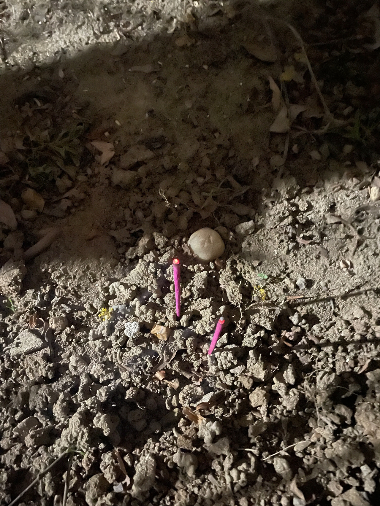 다운로드 (19).jpg