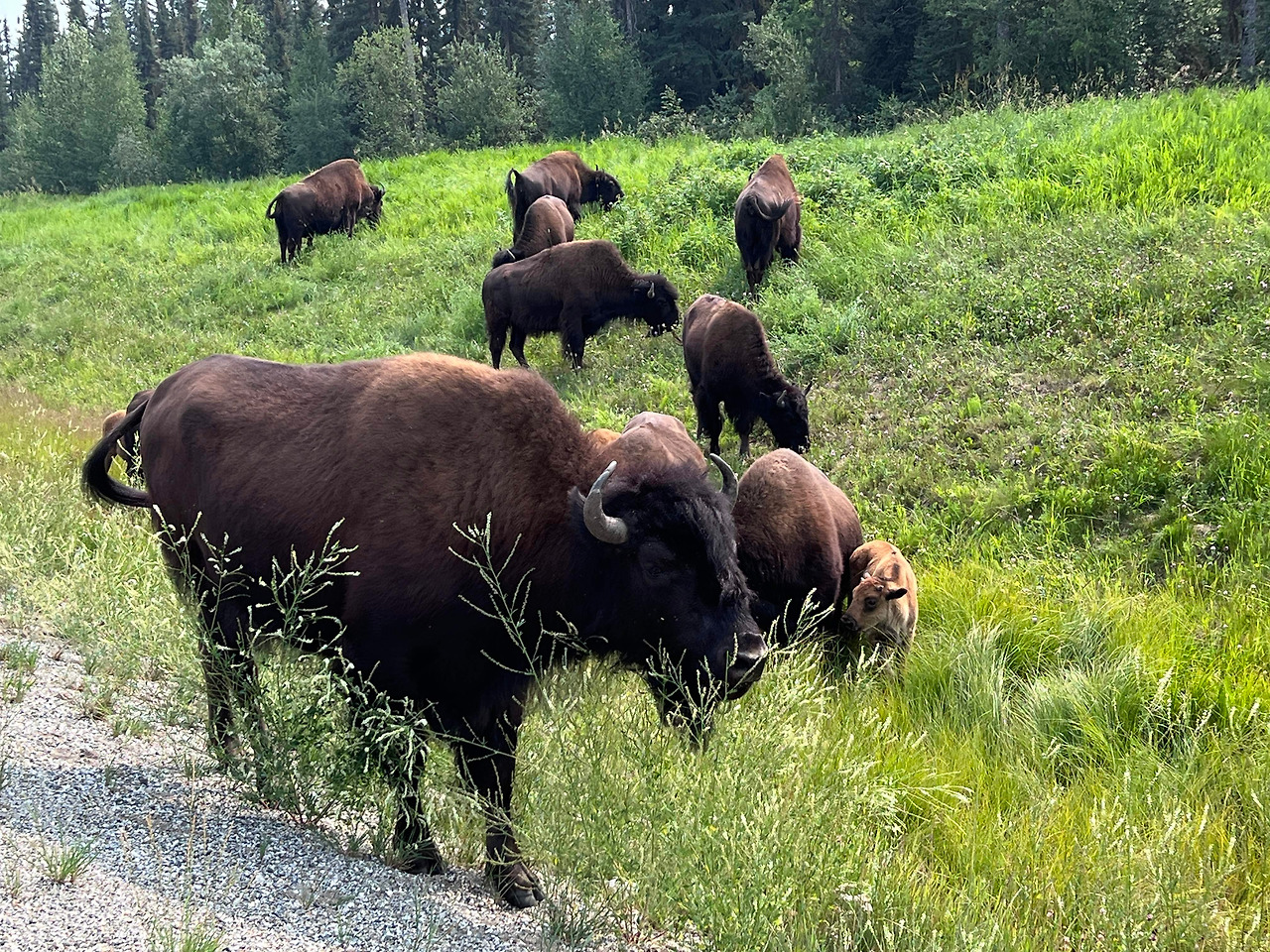 IMG_2236 2_small.jpg