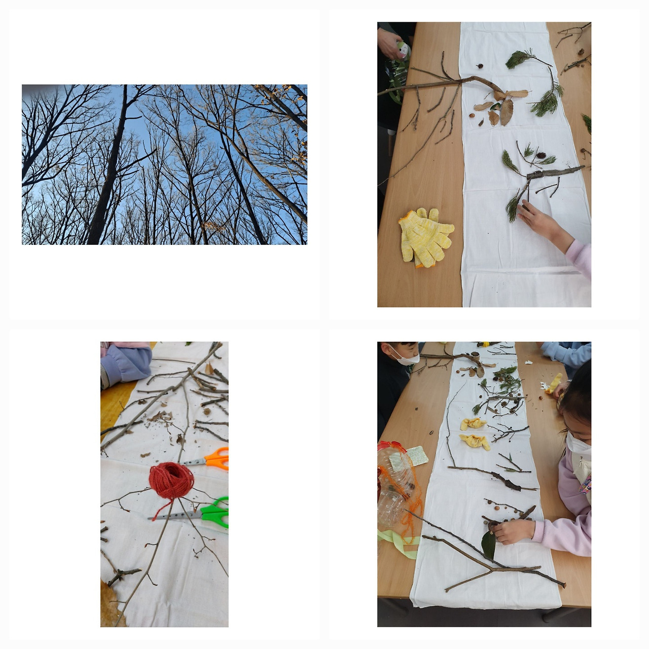 생태 하브루타 -겨울숲.jpg