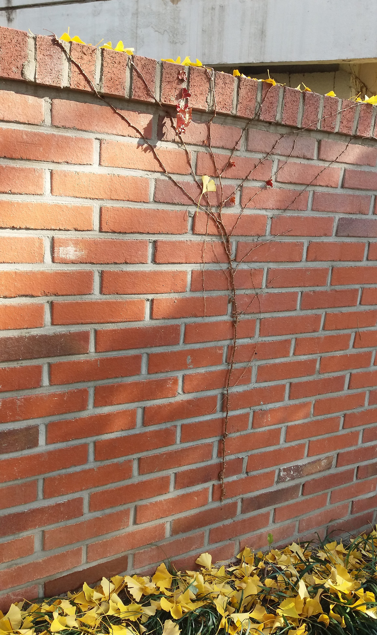 20201114_103847 (3).jpg