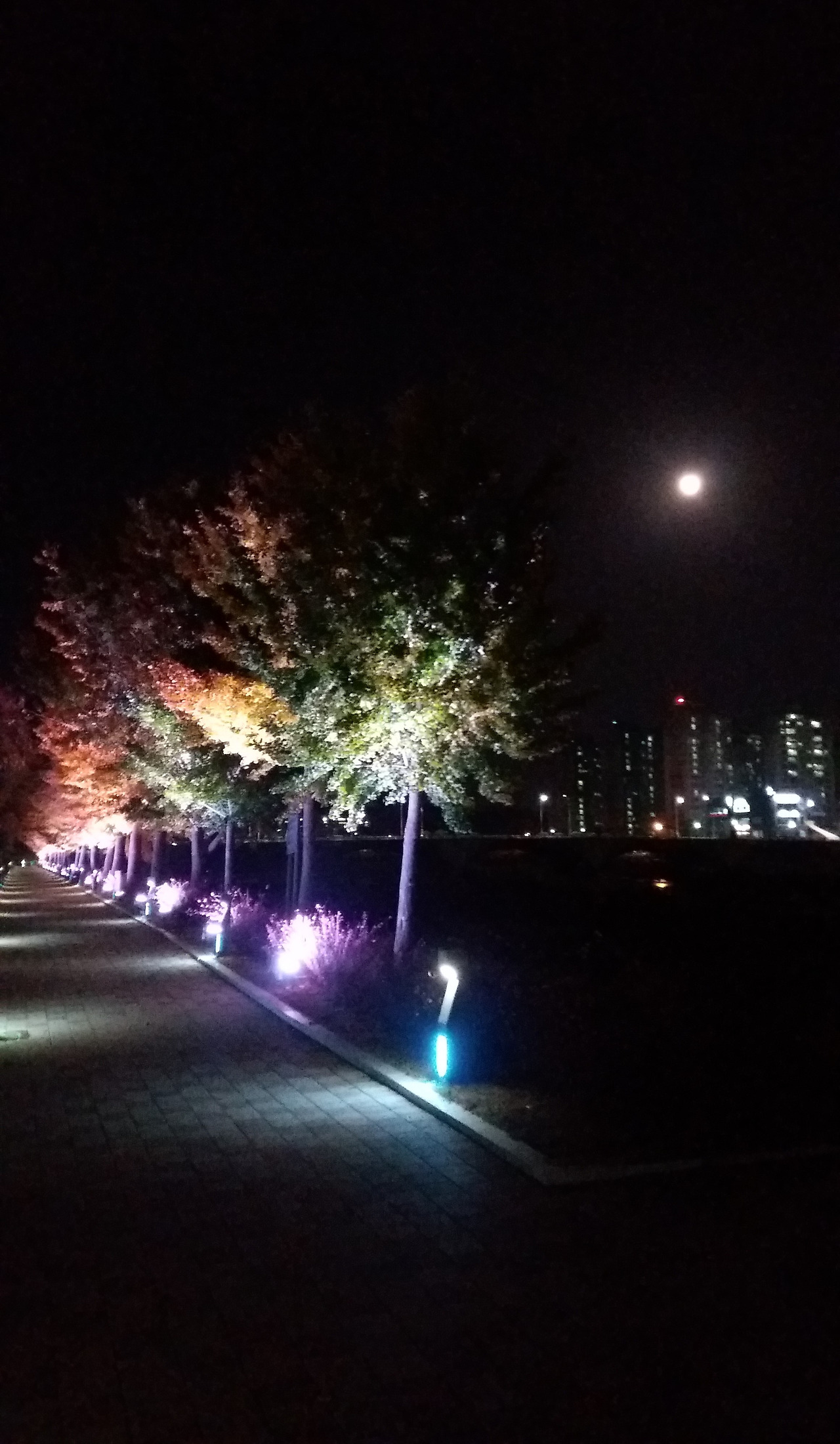 20191112_190058 (2).jpg