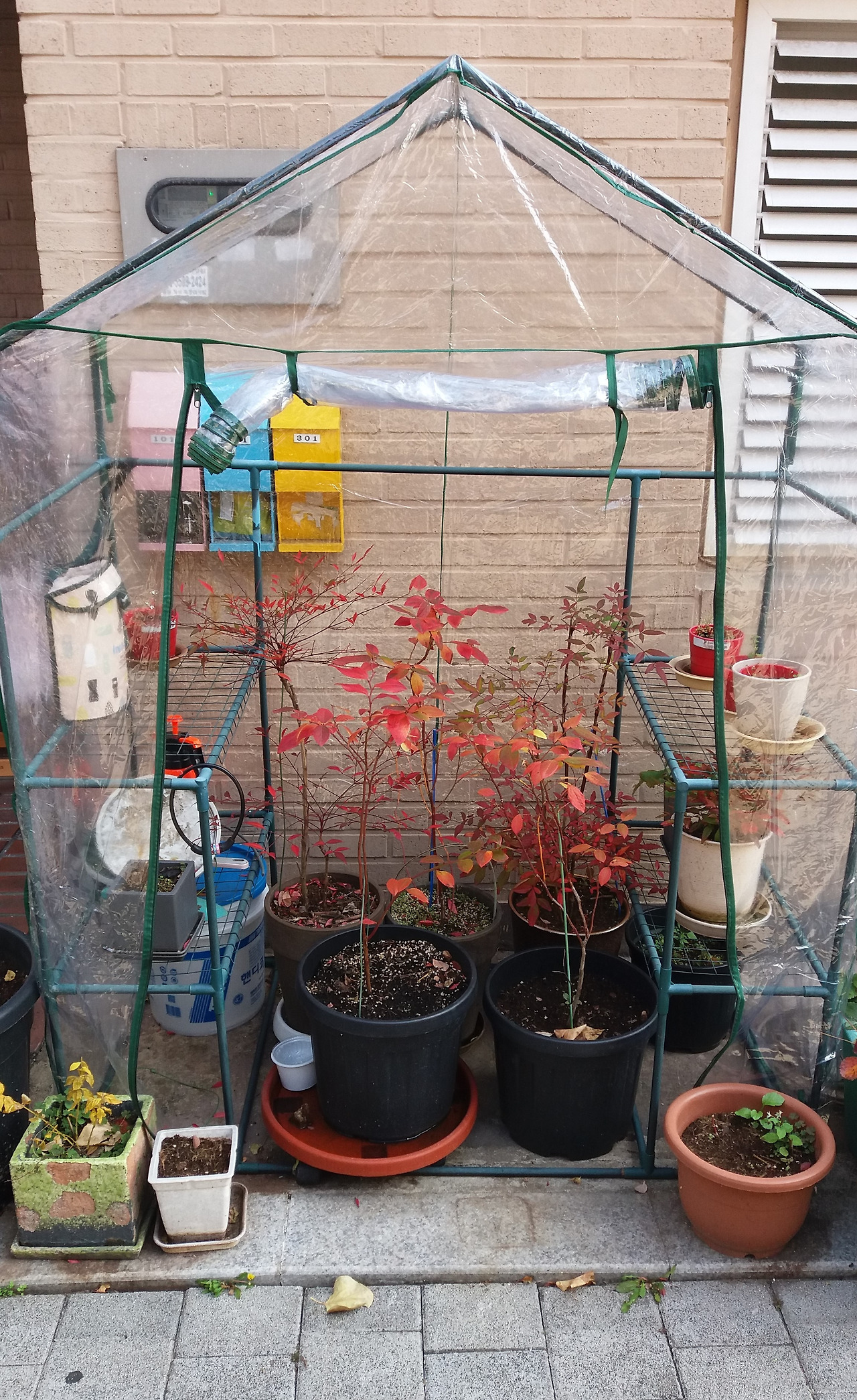 20201114_110318 (2).jpg