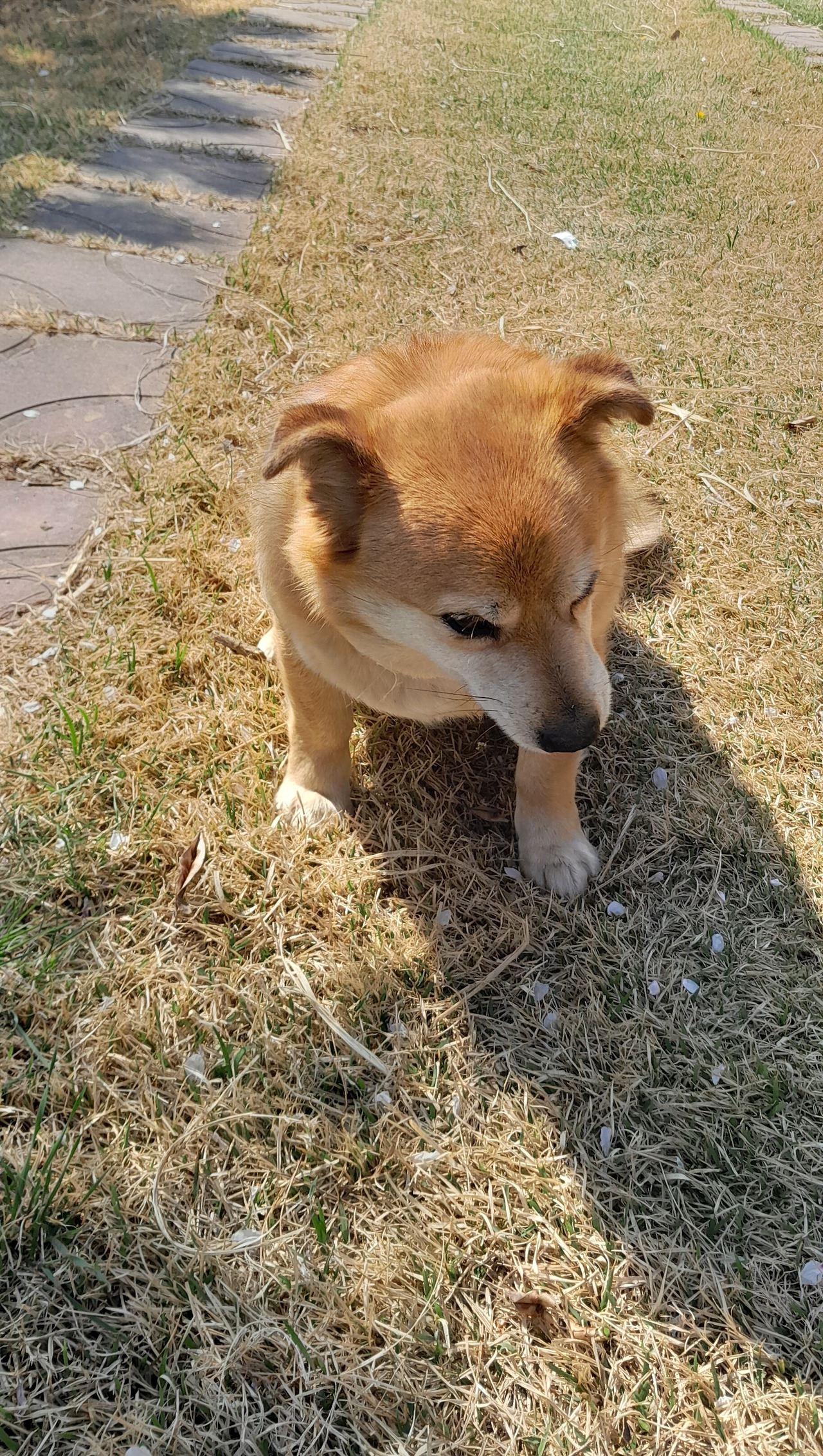 20230403_142624 (2).jpg