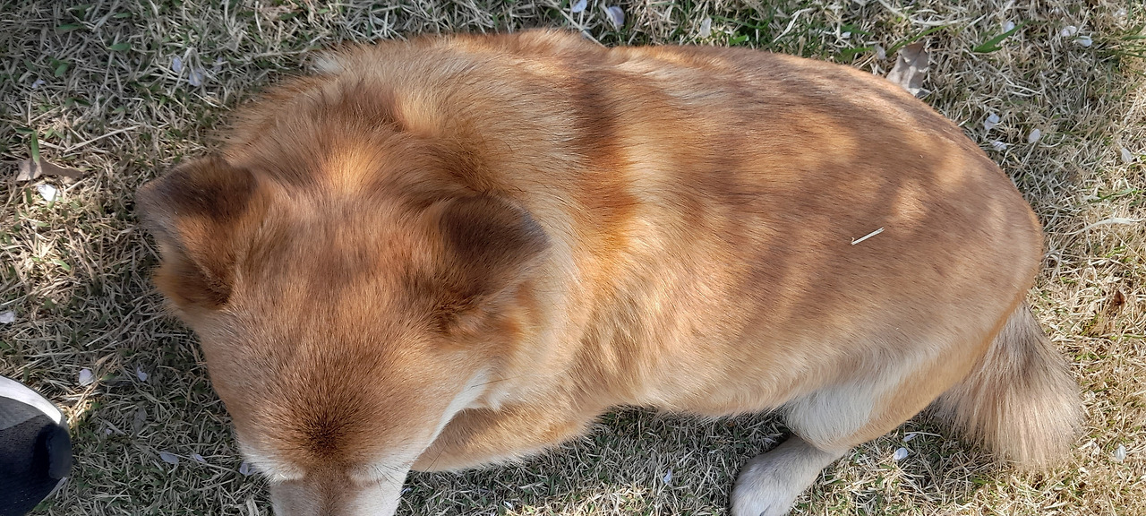 20230403_142735 (2).jpg