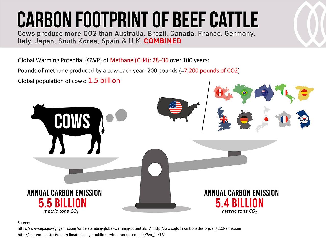 carbon-footprint-of-cattle-industry-09_small.jpg