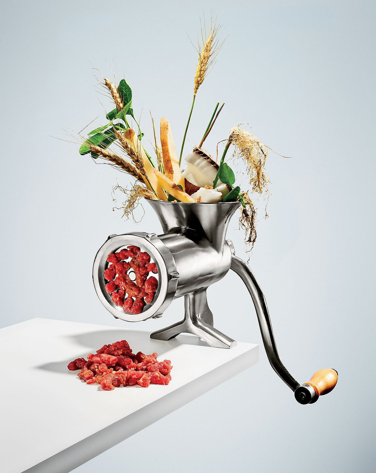 곡물로 만든 고기.jpg