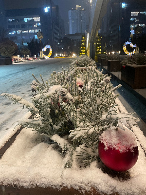 눈오고 하트조형물 사진.jpg