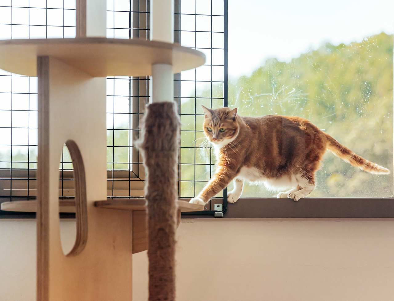 6 사진 테스쳐 온 텍스쳐.jpg