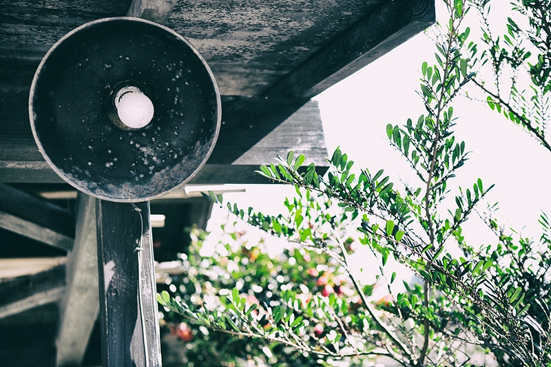 1Z7A9826-1 복사.jpg