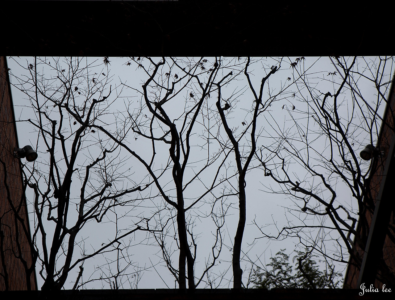 ╢≤─φ╜║└╠┐ú (2).jpg