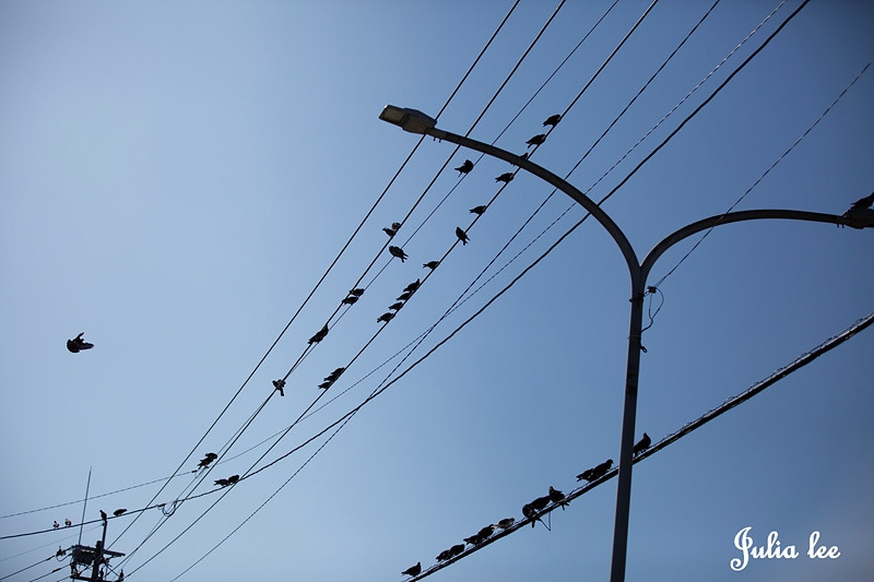 1Z7A7033-1 복사-1.jpg