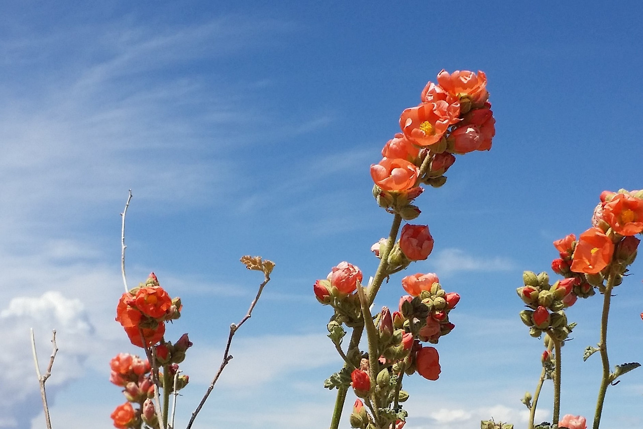 20160429_133342 (3).jpg