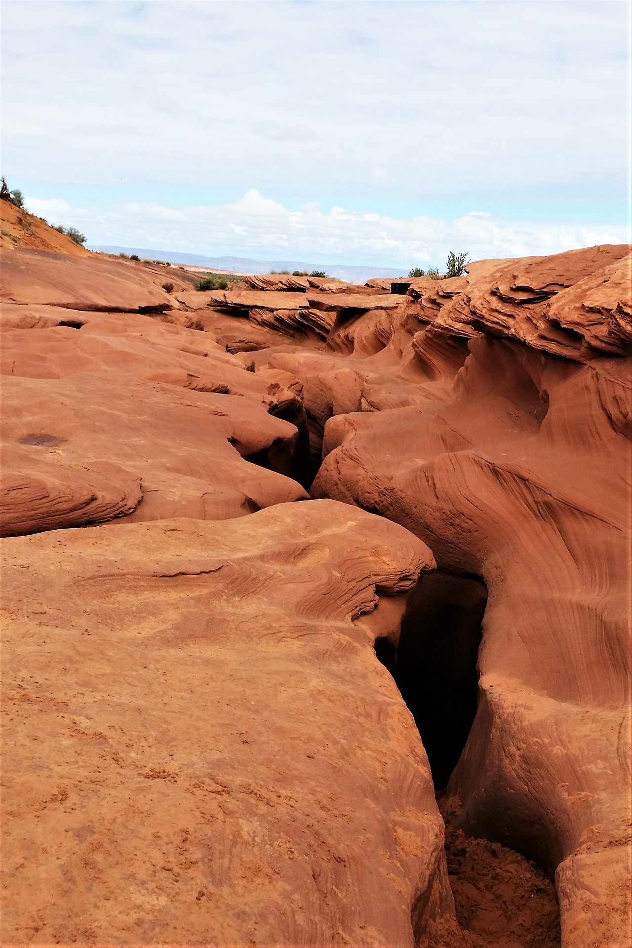 20160502_110509 (2).jpg