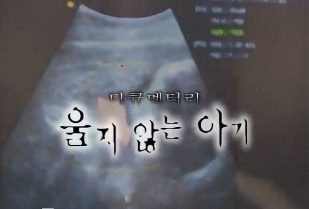 화면 캡처 2023-03-28 063628.jpg