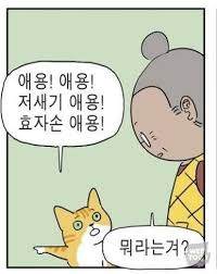 애용이1.jpg