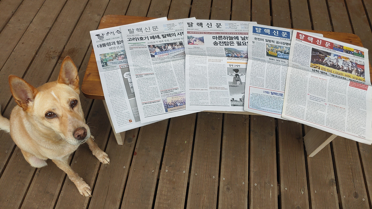 탈핵신문 사진.jpg