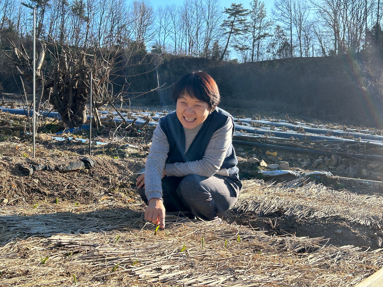 용석록 텃밭.jpg