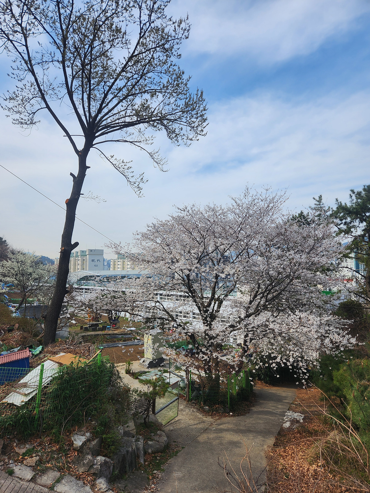 카지노 게임 사이트