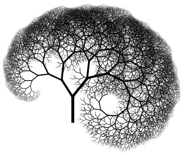 kidney-tree_orig.jpg