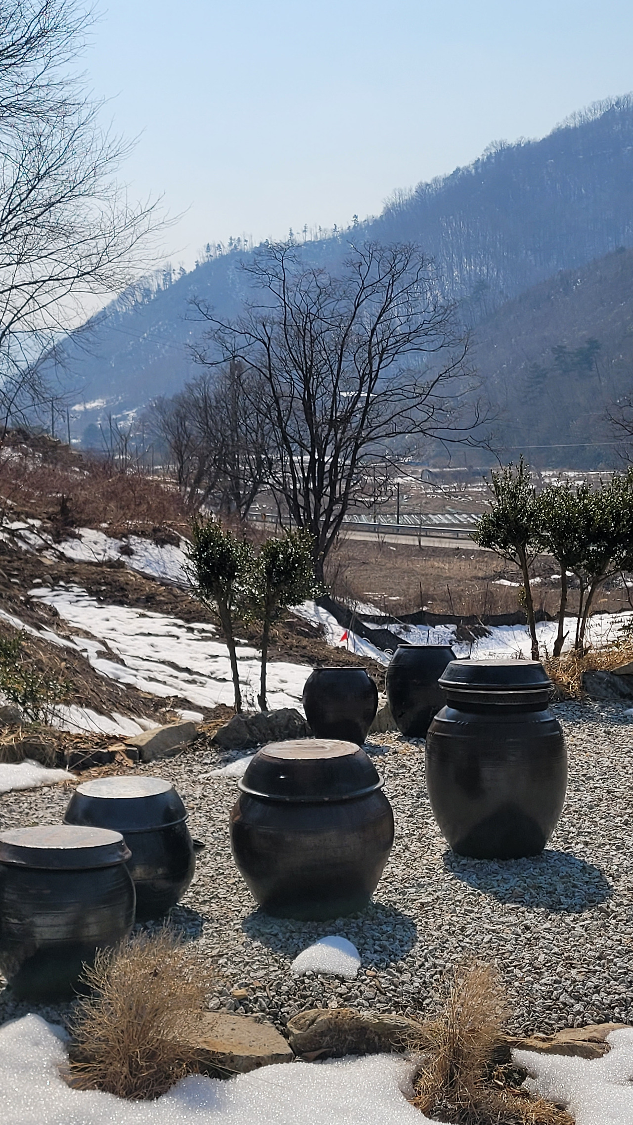 카지노 게임 사이트