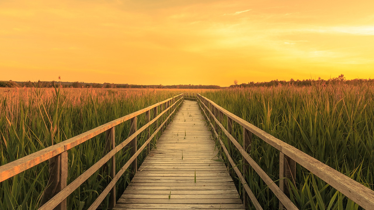 federsee-g6fc1ab168_1920 - 복사본.jpg