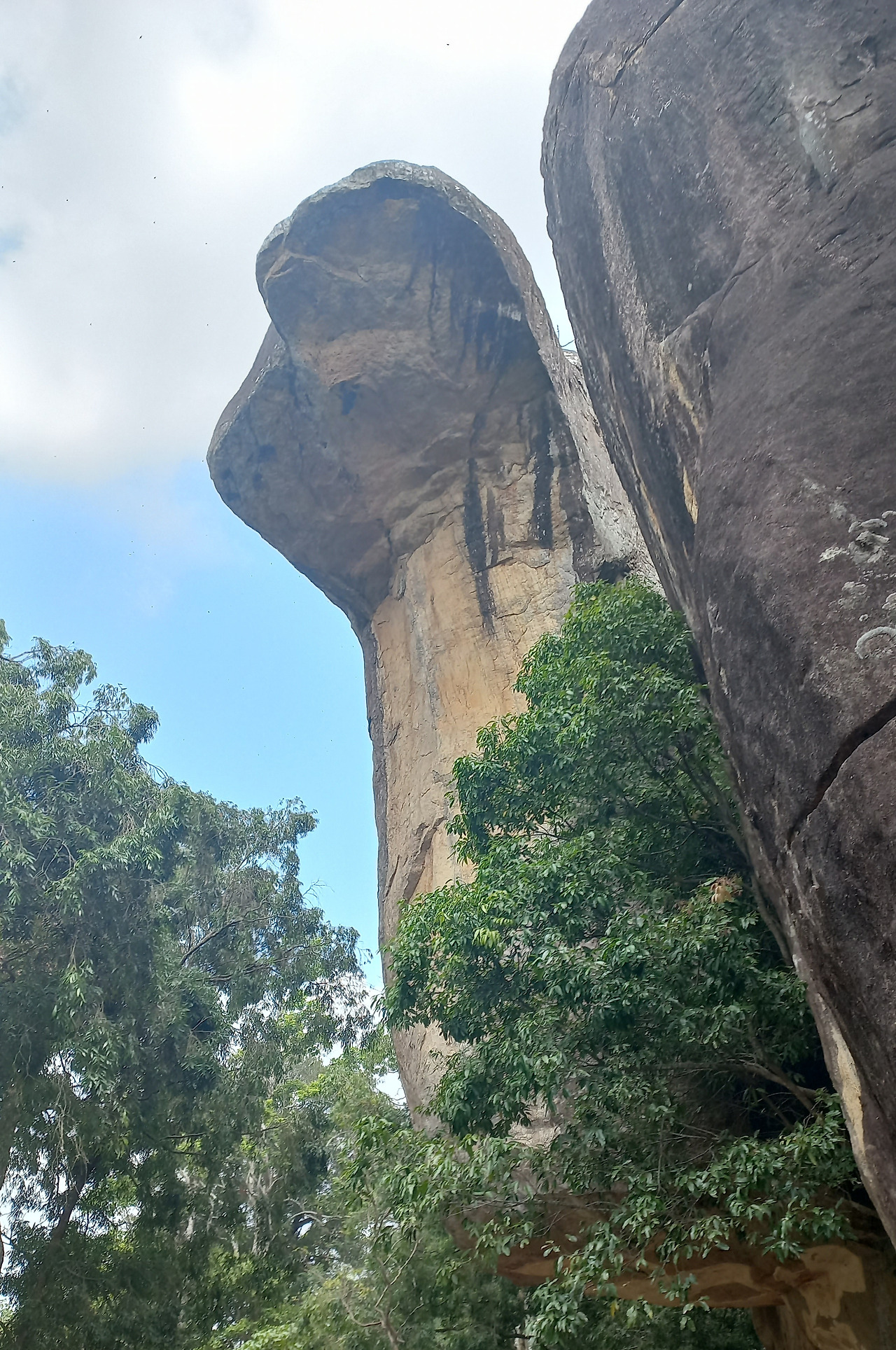 코브라 형상의 바위.jpg