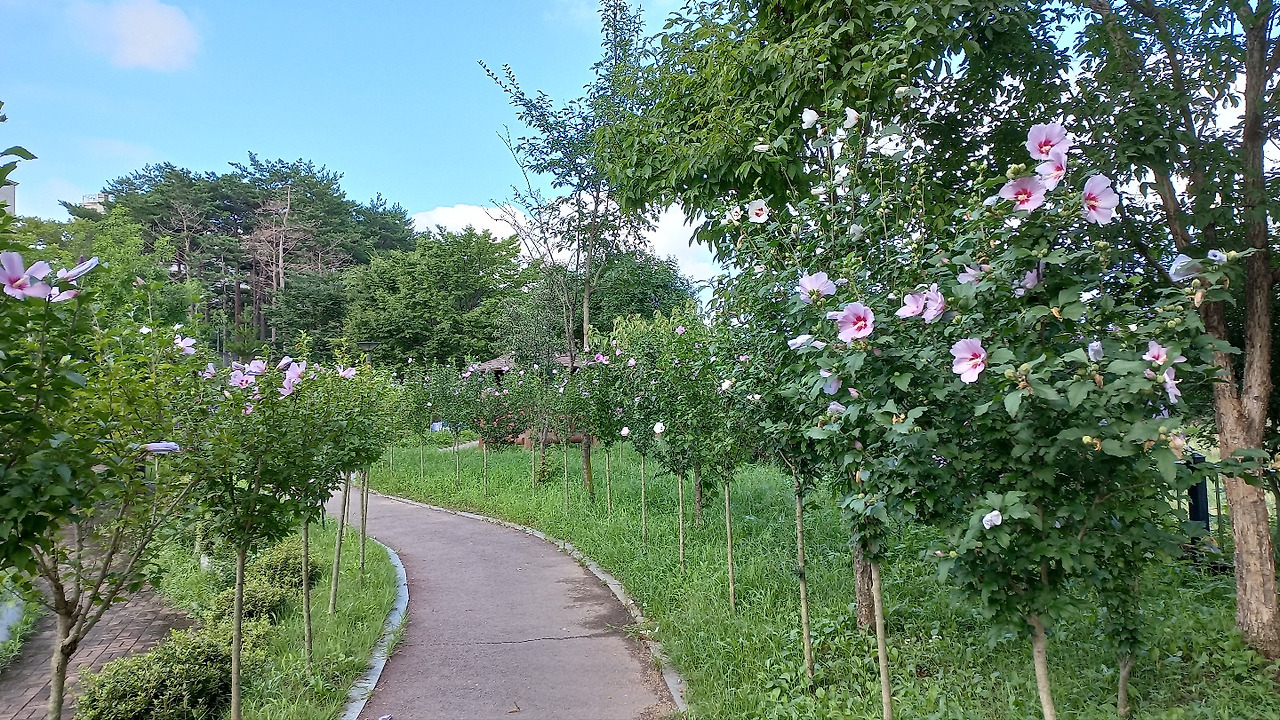 무궁화 동산.jpg