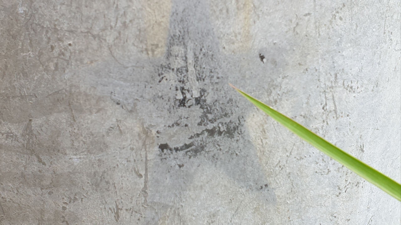 북한 땅임을 알리는 표시.jpg