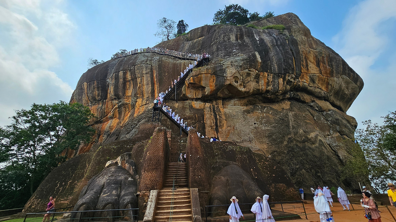 사자의 발톱.jpg