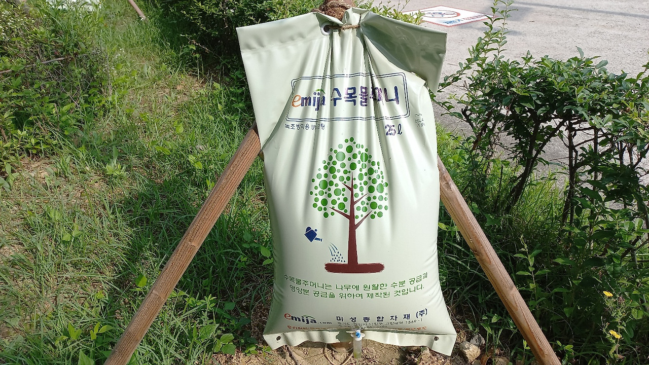 수목물주머니1.jpg