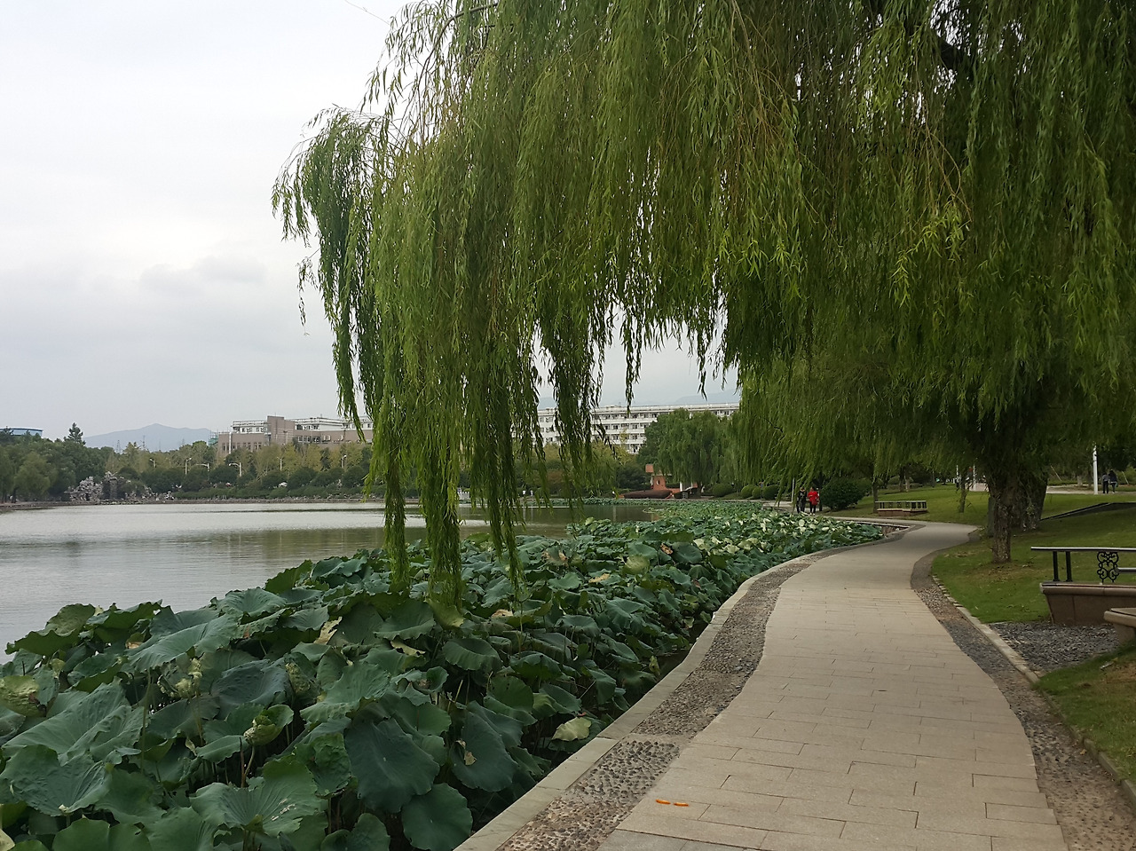 17-10-04-11-58-14-340_photo (2).jpg