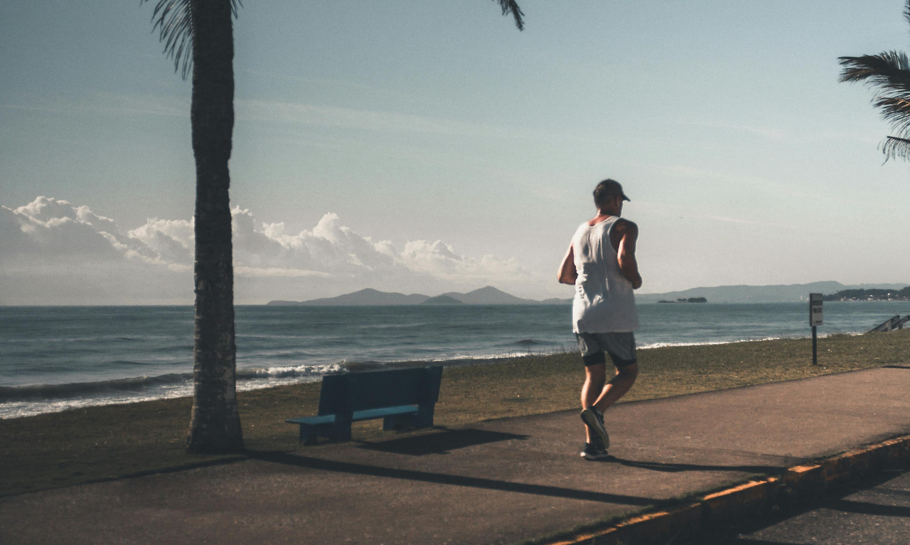 pexels-gustavorodrigues-1748447 (1).jpg