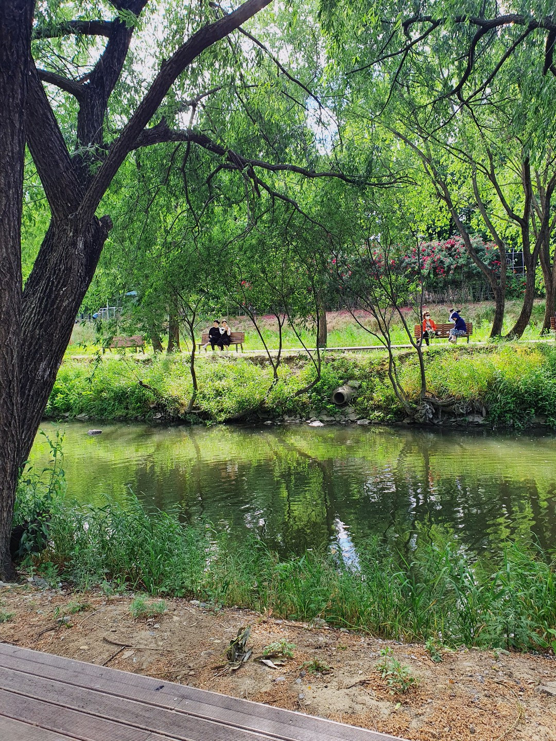 1755522539695 (1).jpg