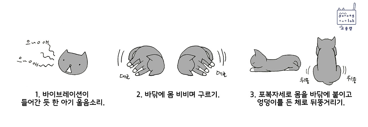 솔이냥냥 증상 일러스트.jpg