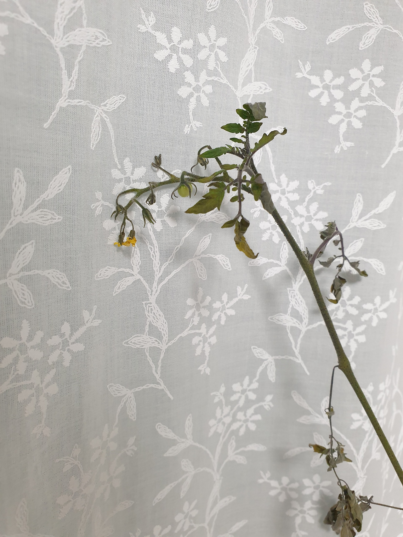 KakaoTalk_20210221_155707242_01 (1).jpg