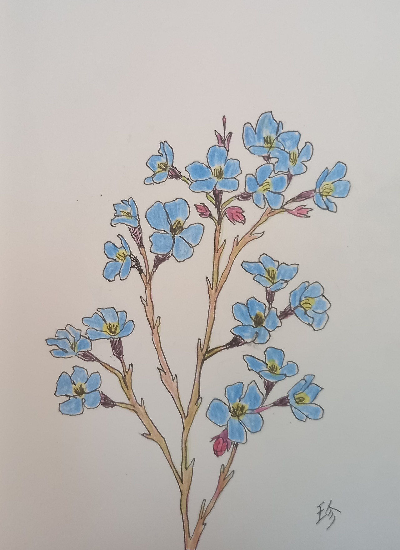 Lee-youngjin(봄과 꽃).jpg