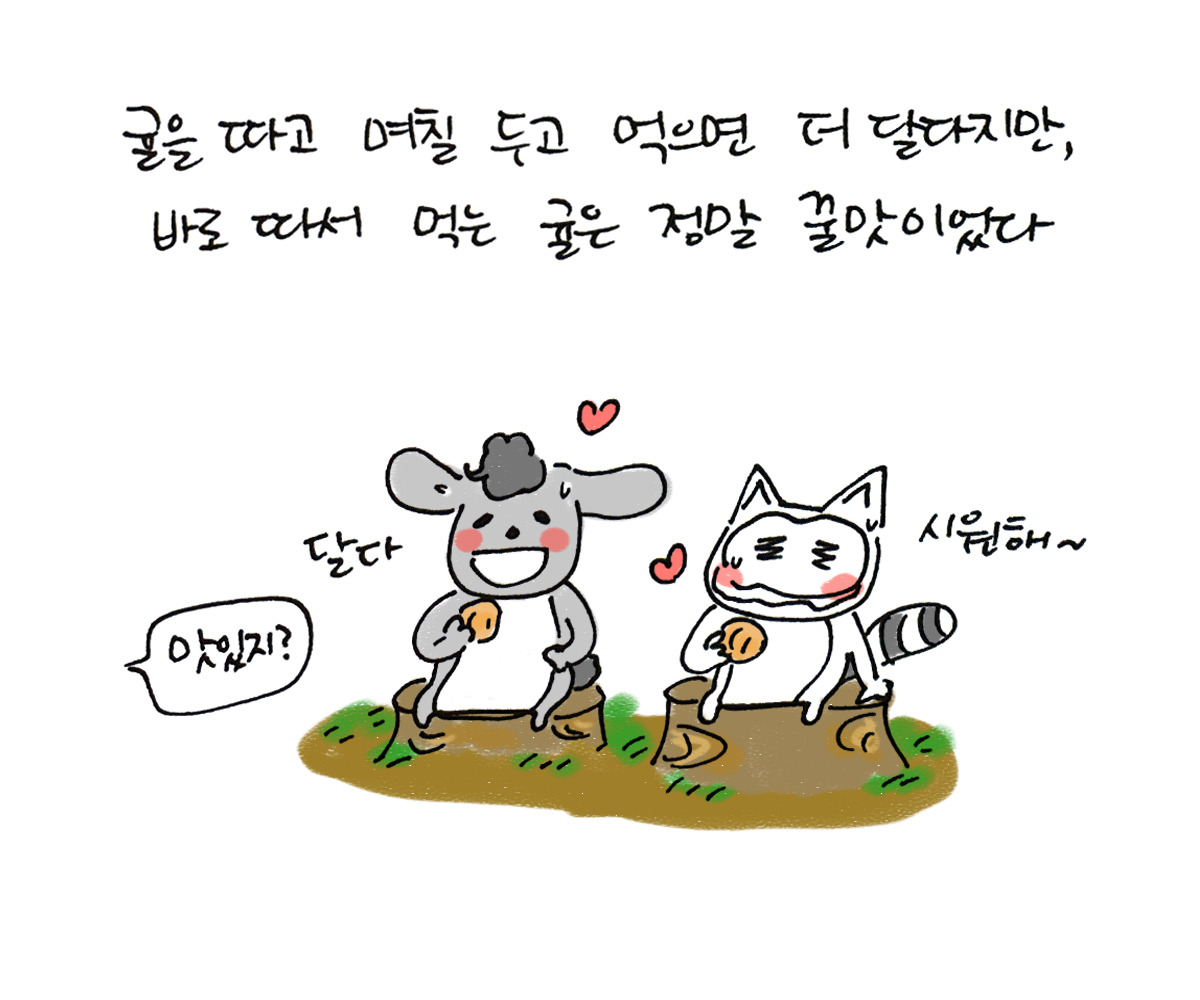 너굴양 그림일기 20171208_7.jpg