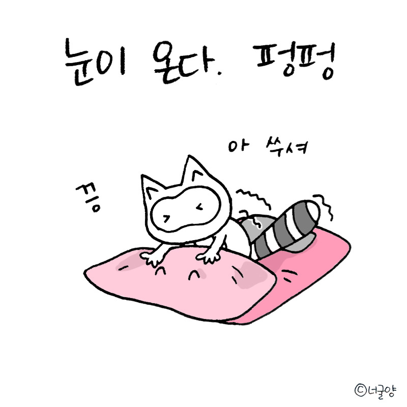 너굴양 그림일기 20170121_1.jpg