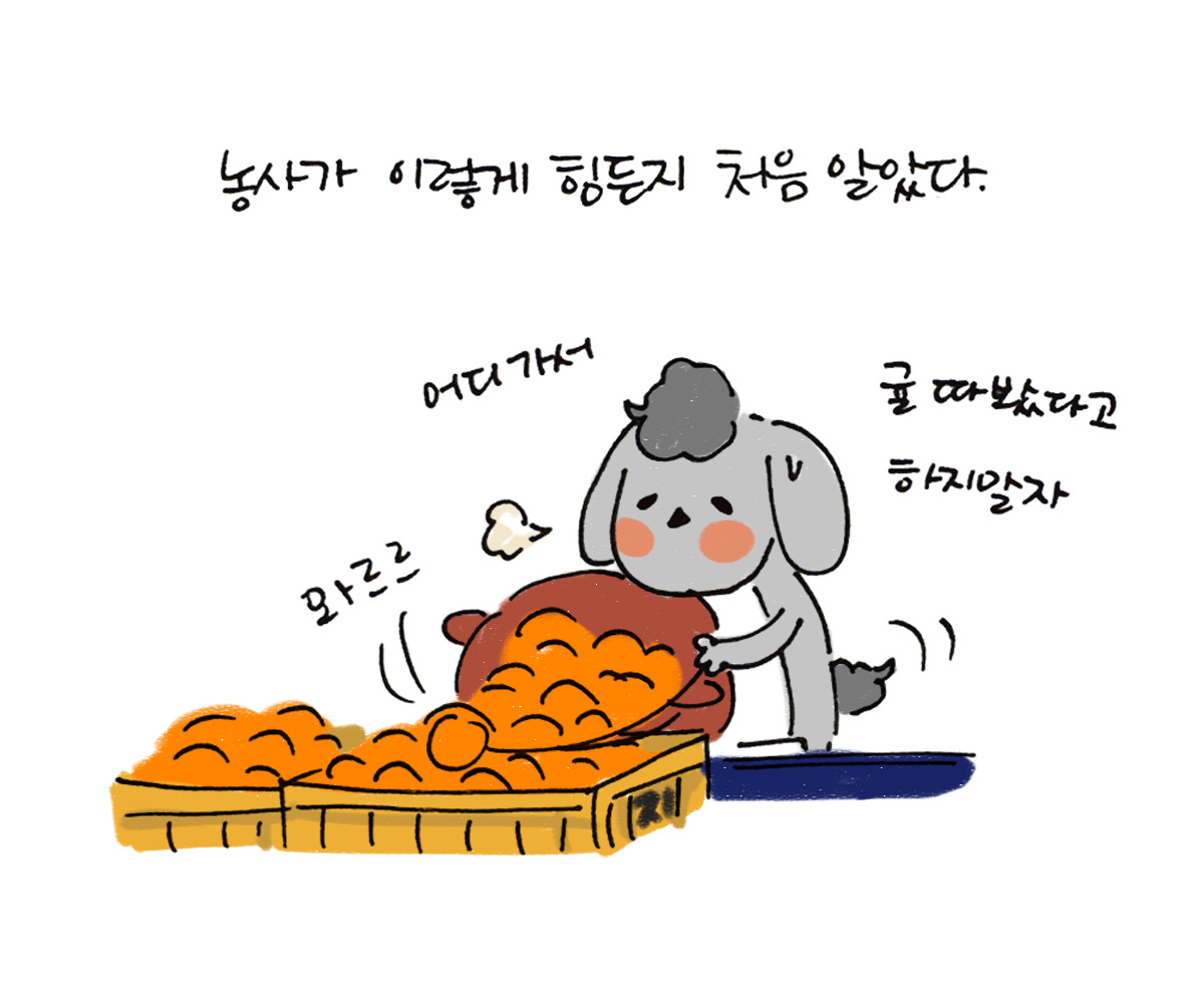 너굴양 그림일기 20171208_11.jpg