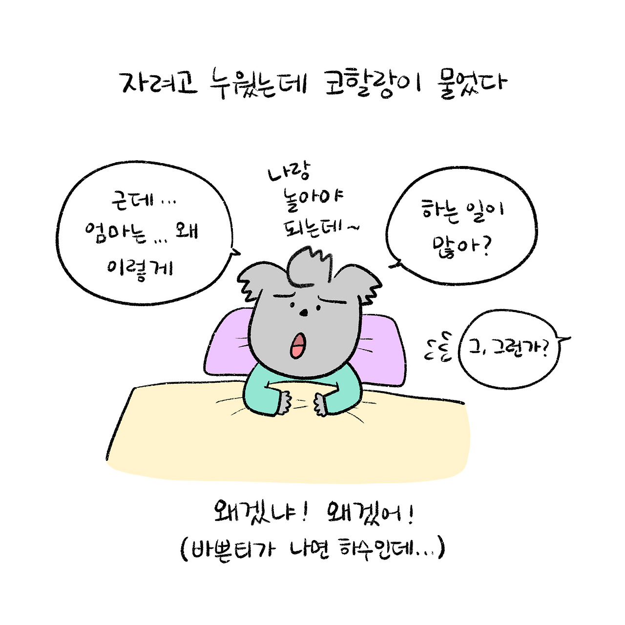카지노 쿠폰
