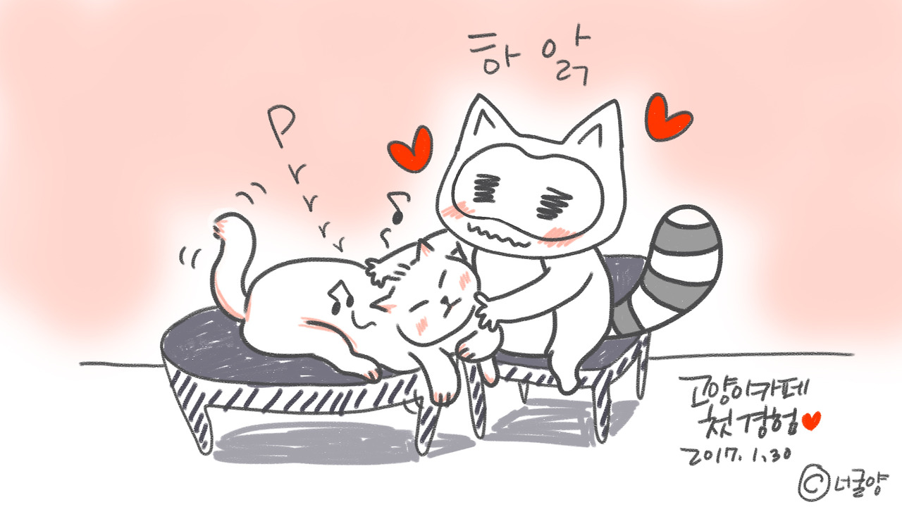 너굴양 그림일기 20170130.jpg