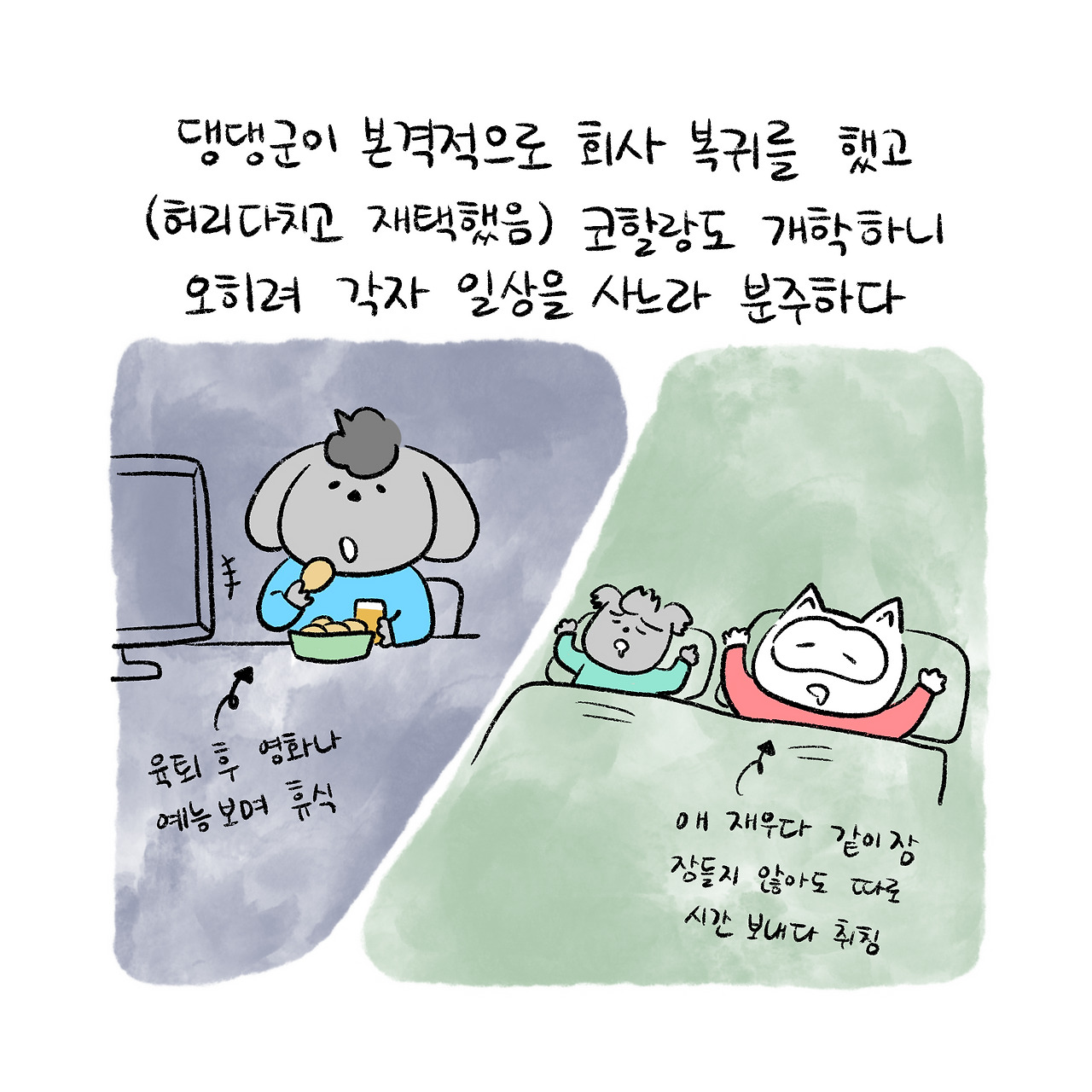 카지노 게임 사이트