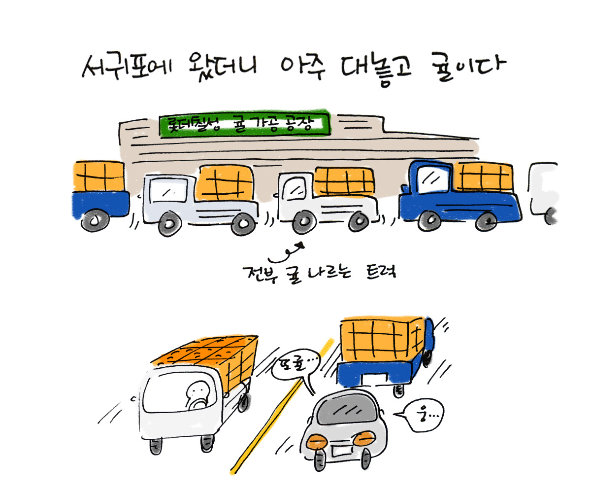 너굴양 그림일기 20171208_3.jpg