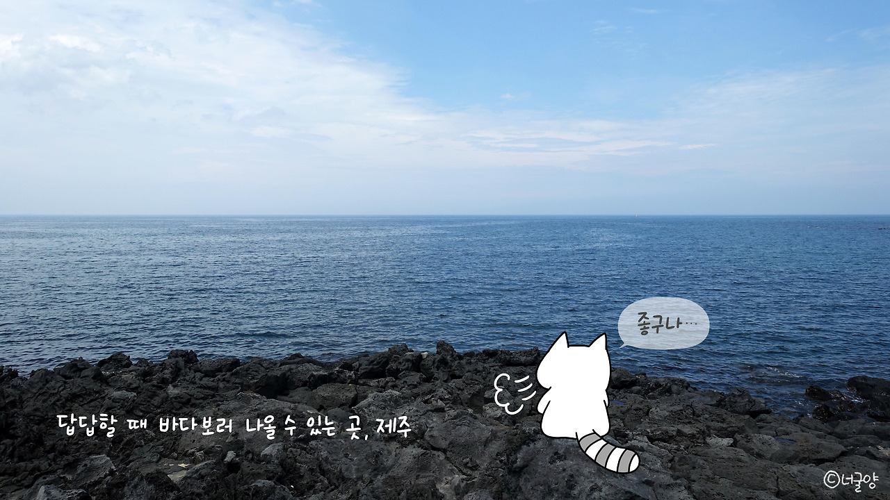 너굴양 그림일기 20170706.jpg